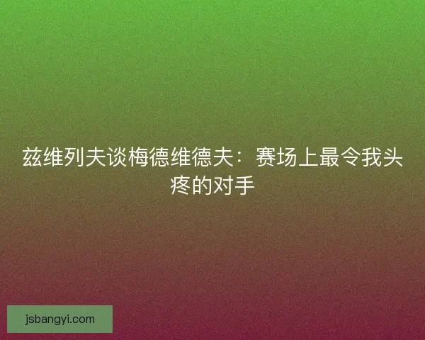 兹维列夫谈梅德维德夫：赛场上最令我头疼的对手